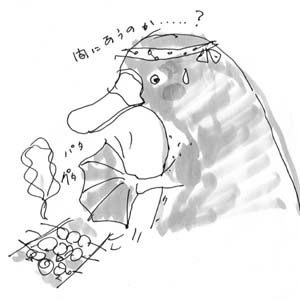 CCF20130708_00001.jpg