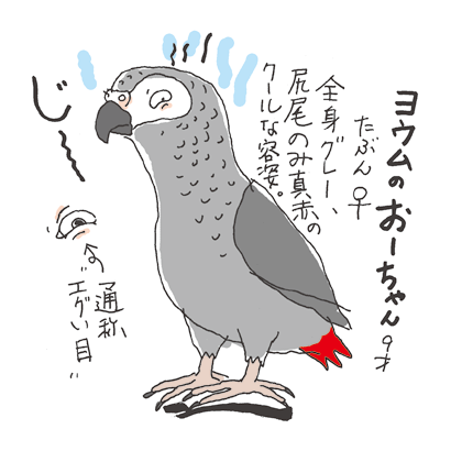 is02-02.gif